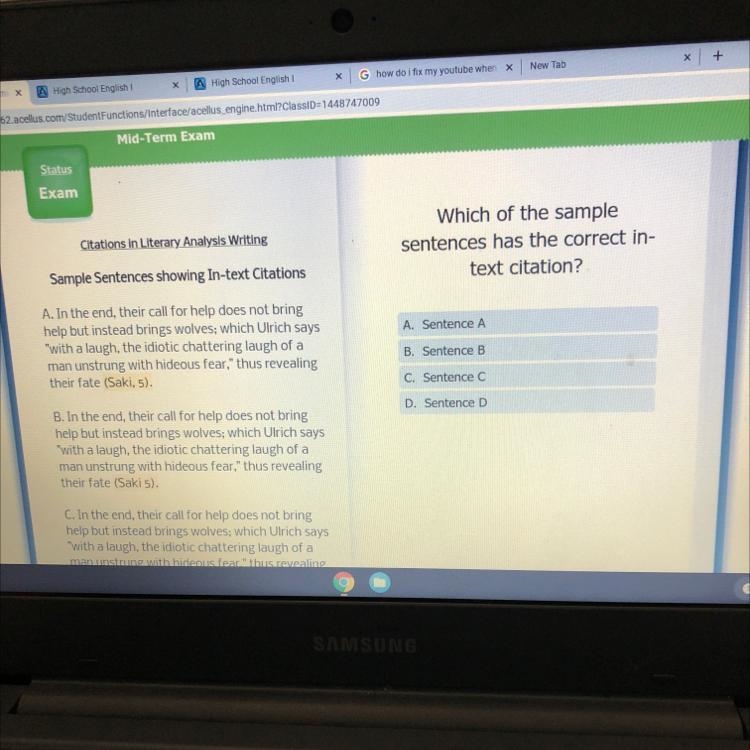 Which of the sample sentences has the correct in- text citation? A. Sentence A B. Sentence-example-1