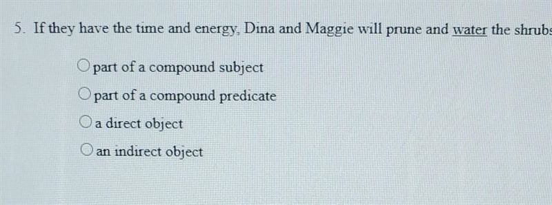 If they have the time and energy , dinq and maggie will prune and water the shrubs-example-1