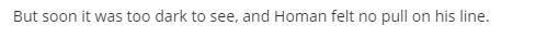 Read the sentence But soon it was too dark to see, and Homan felt no pull on his line-example-1