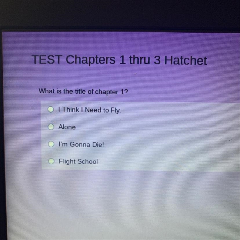 What is the title of chapter 1 of the hatchet-example-1