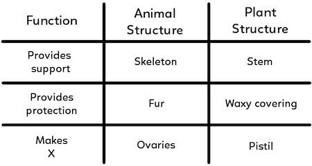 Stacy made the following table to compare the functions of plant and animal structures-example-1