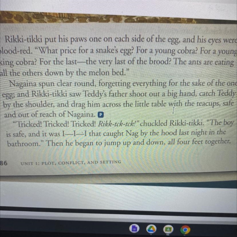 Re-read lines 395 to 406 what does Ricky Tikki do to save Teddy?-example-1