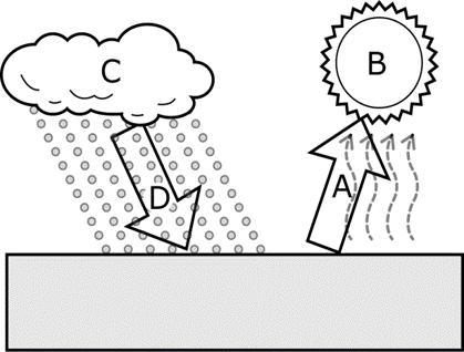 In the diagram, which letter represents evaporation? A B C D-example-1