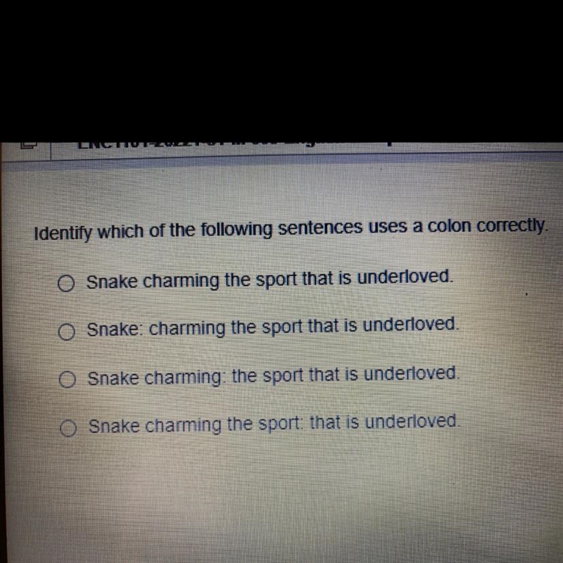 Identify which of the following sentences uses a colon correctly. O Snake charming-example-1