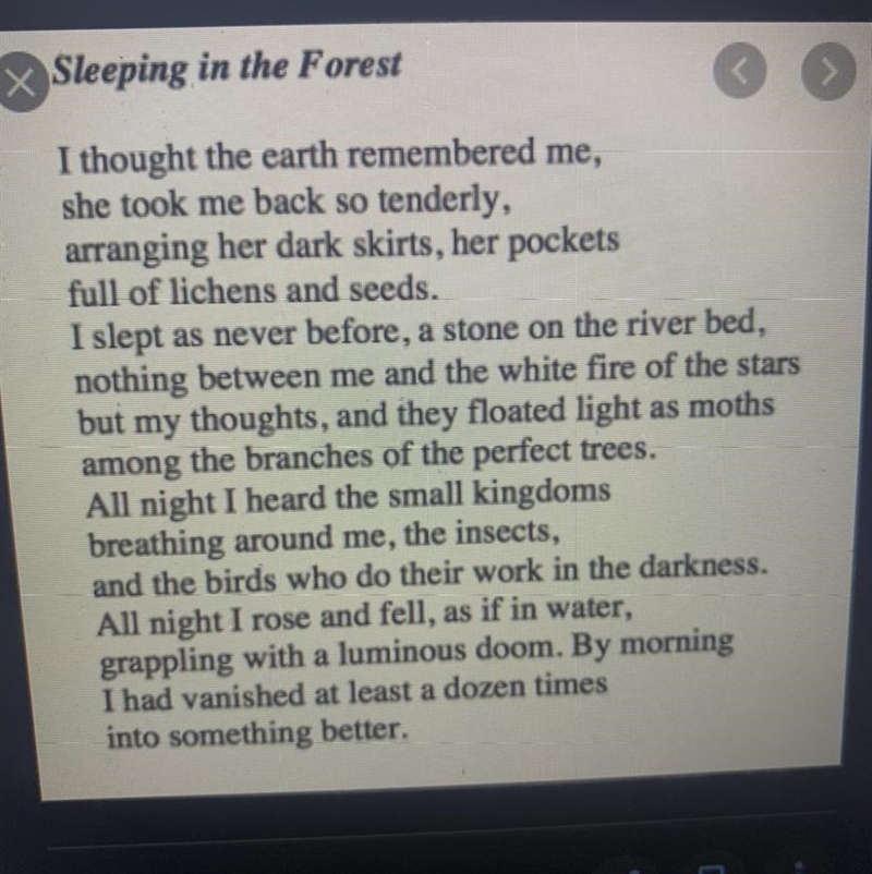 Rhyme scheme of sleeping in forest poem pls answer quick-example-1