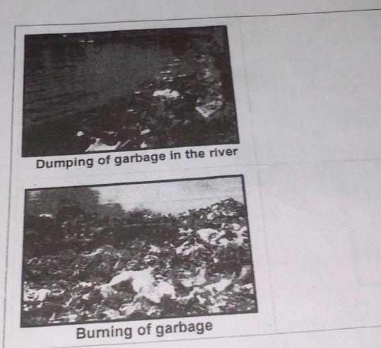 What is its effect to the environment help me with this:< 1.dumping of garbage-example-1