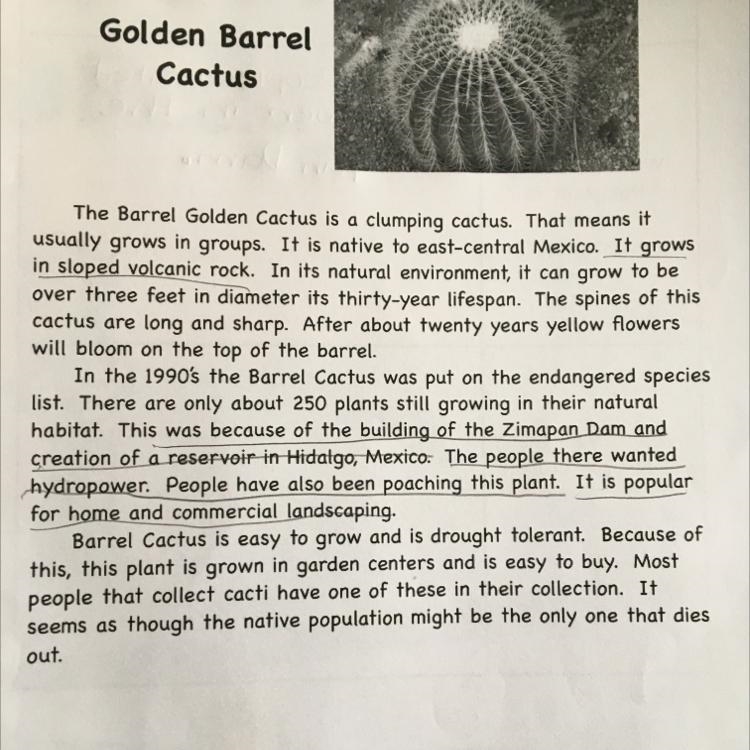 Based off of this, what is being done to try and protect this plant?-example-1