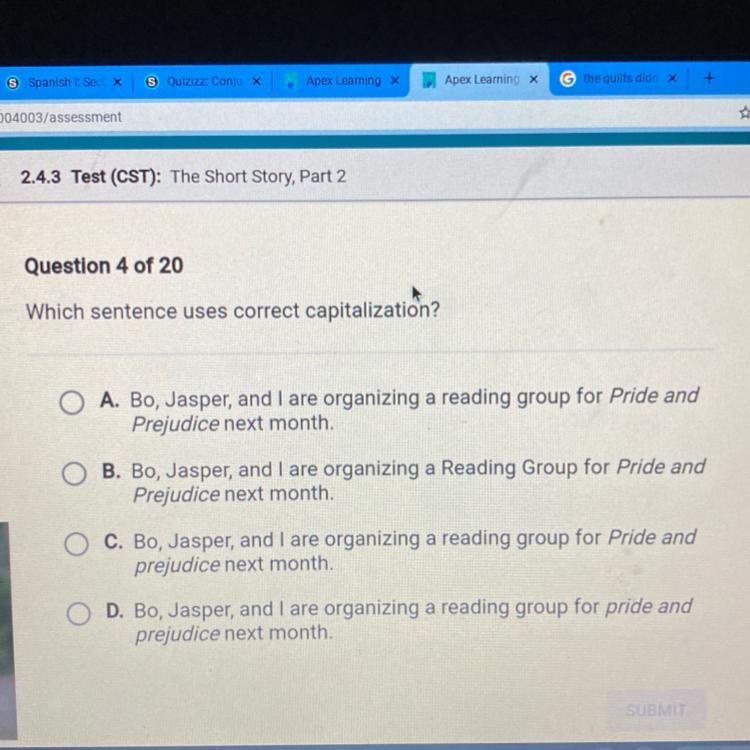 Which sentence uses correct capitalization?-example-1