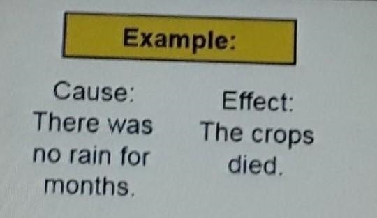 Read each sentence below. Write what you think might be an effect on the second line-example-1