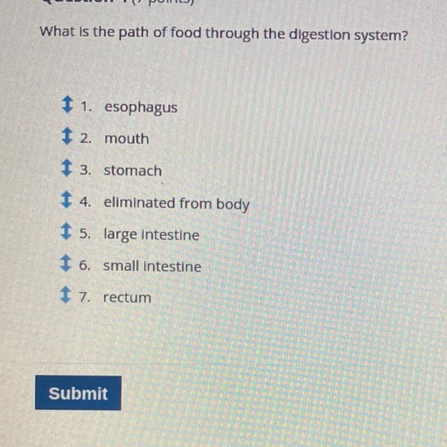 What is the path of food through the digestion system? It would be so helpful if anyone-example-1