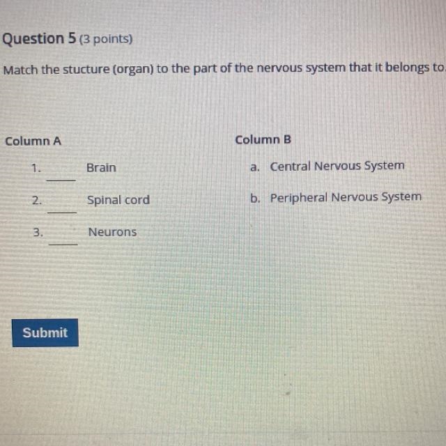 Match the stucture (organ) to the part of the nervous system that it belongs to. Column-example-1