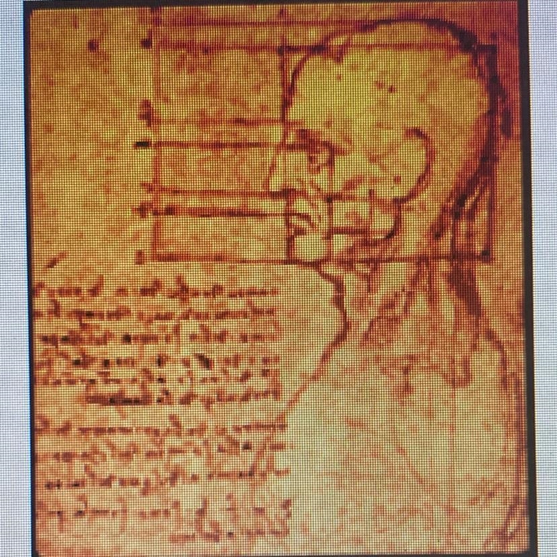 What does this sketch, drawn by da Vinci, tell you about what he was studying? a. Military-example-1