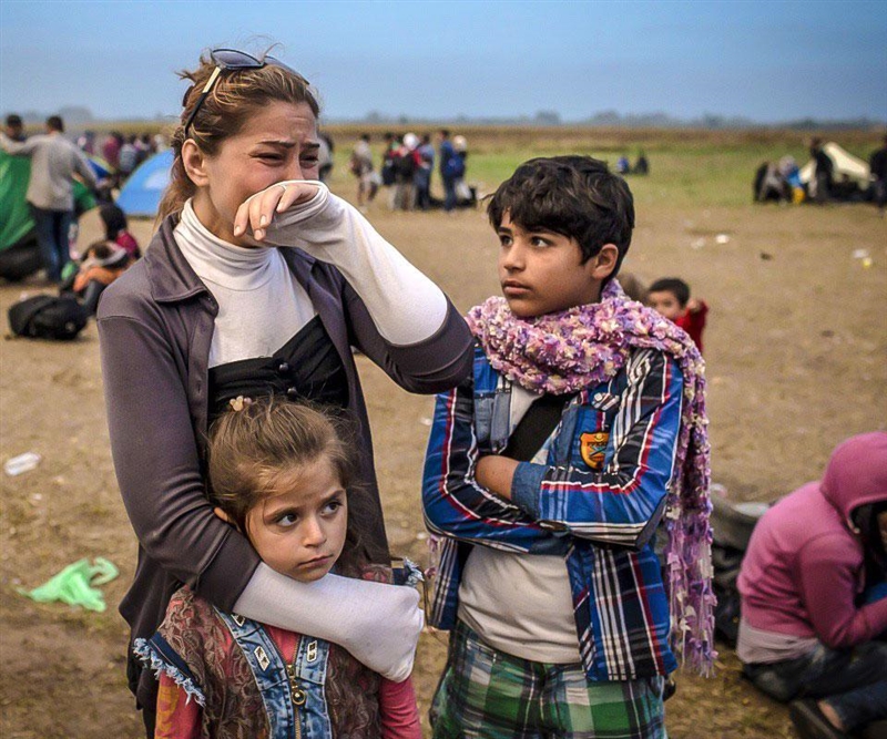 Can anyone please talk about this picture related to refugees-example-1