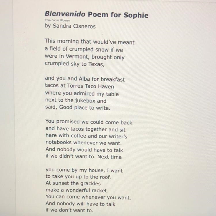 In “bienvenidos poem for Sophie” how does the theme of the poem relate to the setting-example-1