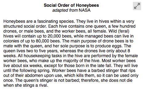 Why does the author describe the role of each honeybee-example-2