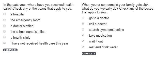 In the past year, where have you gone to get health care? Select all that apply.a-example-1