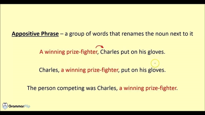 In the following sentences, select which word is being modified by the appositive-example-1