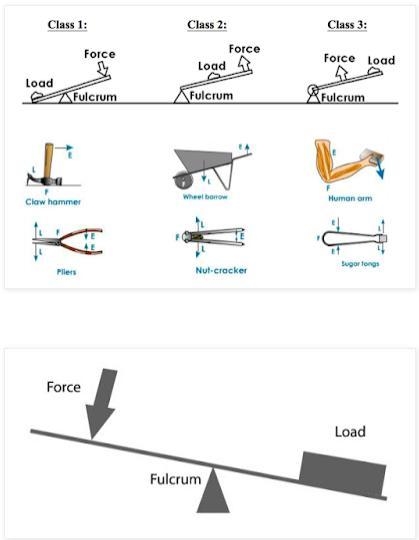 Where is the fulcrum of this lever? Circle and label its location on the diagram above-example-1