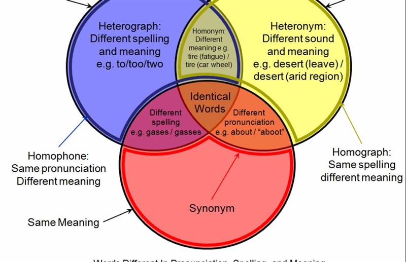 Write an essay using homonyms, homophones or homographs-example-1