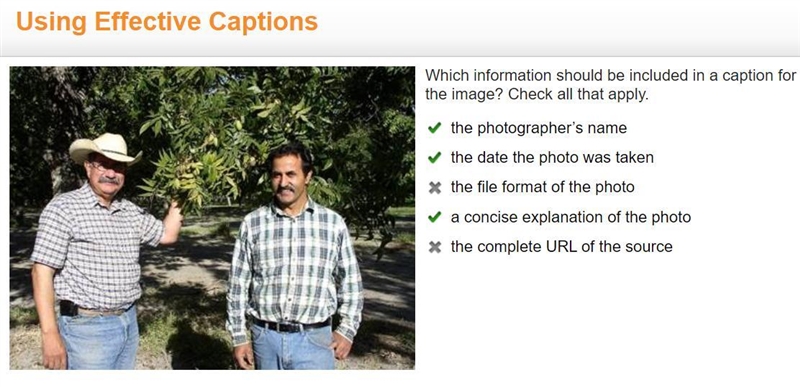 Which information should be included in a caption for the image? Check all that apply-example-1