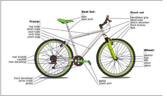 What is the purpose of this diagram? a. to facilitate the text b. to help the reader-example-1