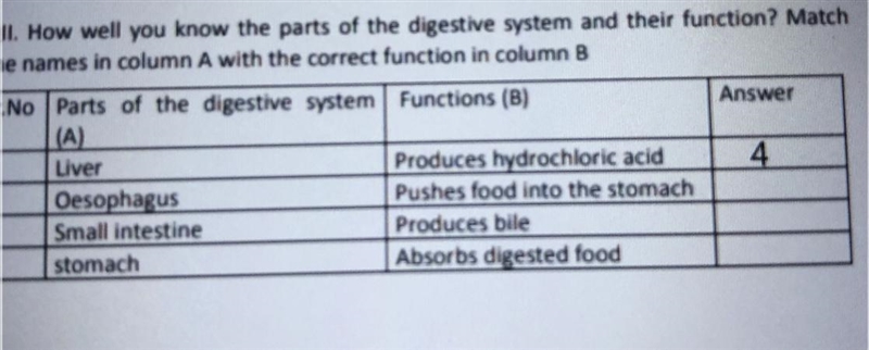 QIt Now well you know the parts of the digestive system and their function? Match-example-1