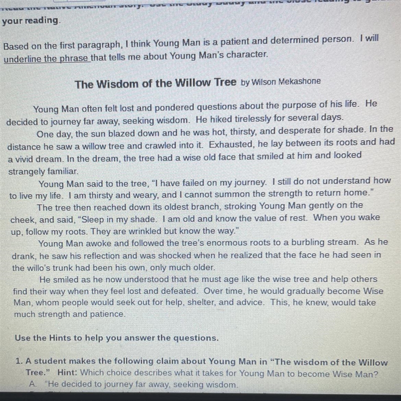 Find their way 3. Explain how the willow tree's kindness and wisdom help Young Man-example-1