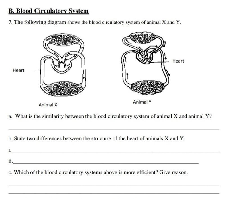 Does anyone know the answer to B and C ?​-example-1