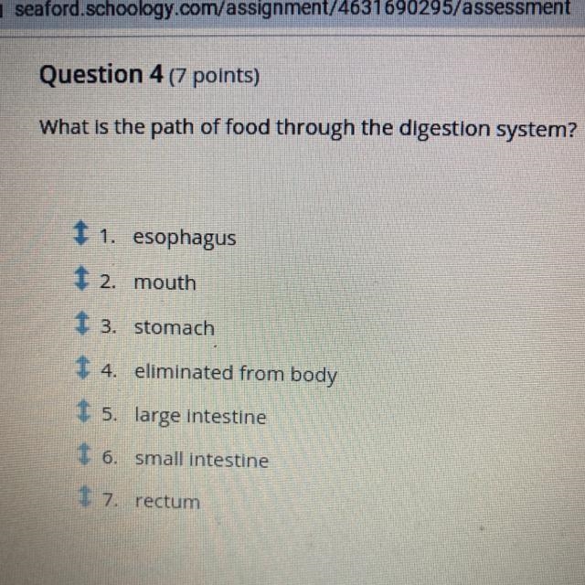 What is the path of food through the digestion system? I only need help with this-example-1