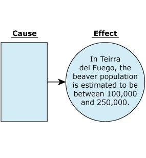 37. Read the graphic organizer below. which choice best fits in the cause portion-example-1