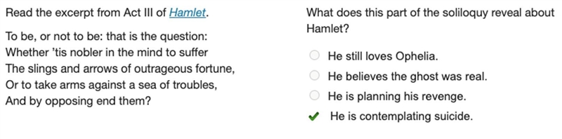 What does this part of the soliloquy reveal about Hamlet? pls pst-example-1