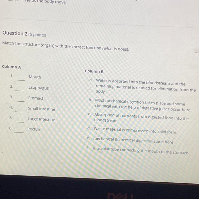 Match the structure (organ) with the correct function (what is does).-example-1