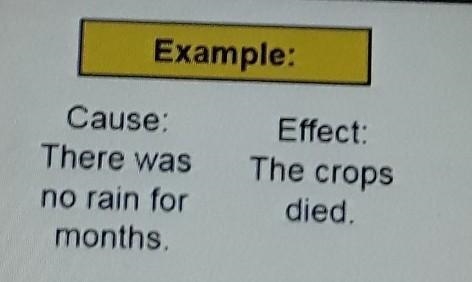 Read each sentence below. Write what you think might be an effect on the second line-example-1