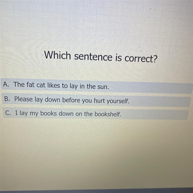 Which sentence is correct-example-1