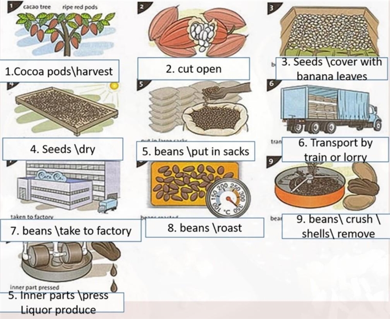 Hi, please help me The diagram below shows the process of making chocolate . Study-example-1