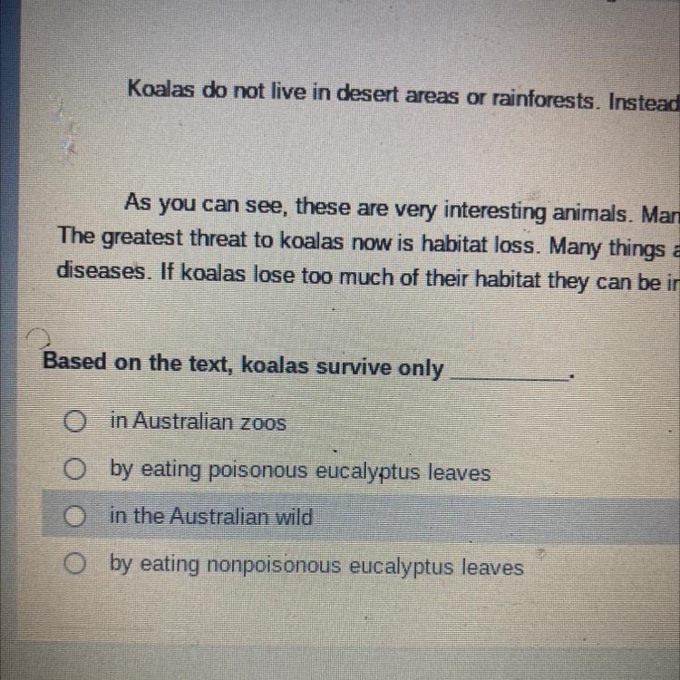 Based on the text, koalas survive only O in Australian zoos by eating poisonous eucalyptus-example-1