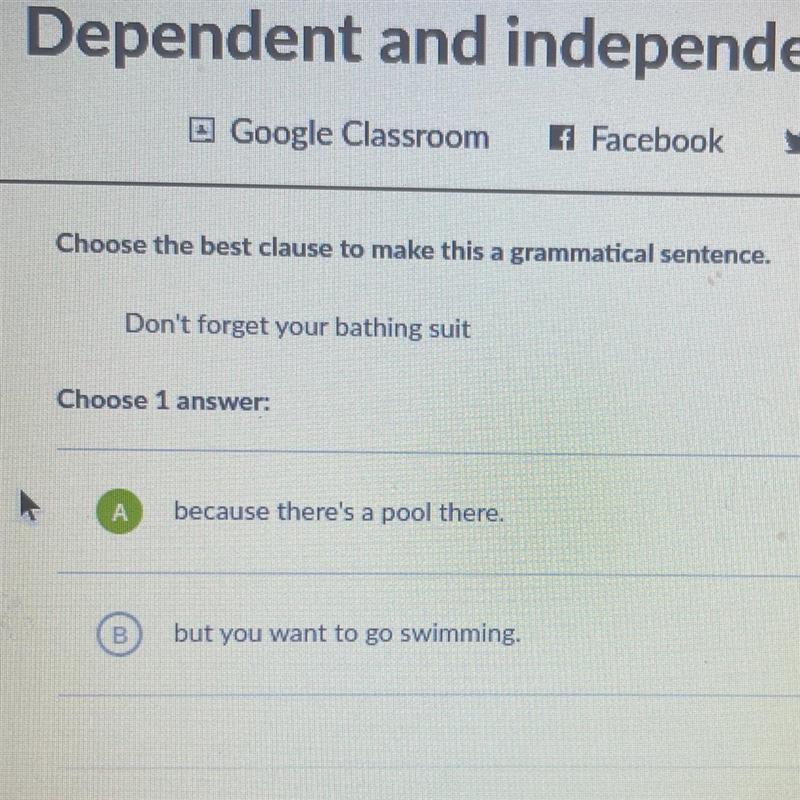 Choose the best clause to make this a grammatical sentence. Don't forget your bathing-example-1