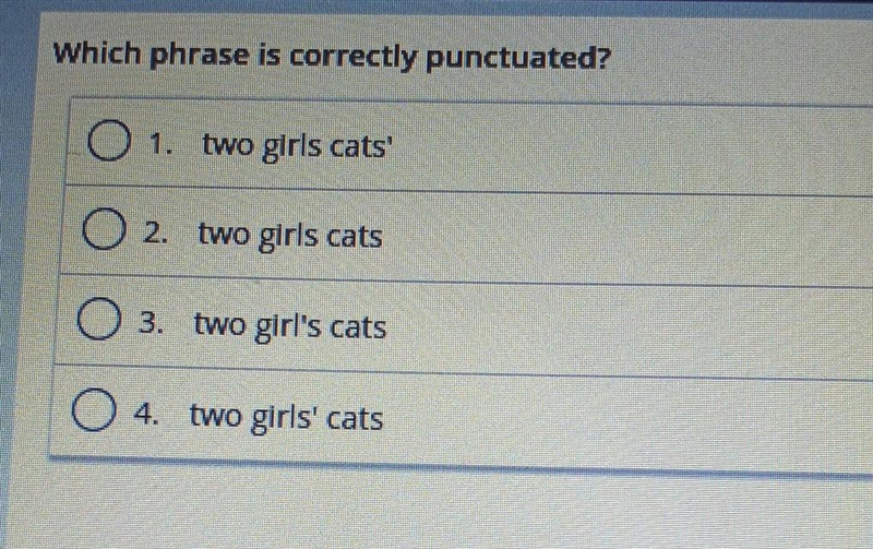 Which phrase is correctly punctuated? 1. two girls cats 2. two girls cats 3. two girl-example-1