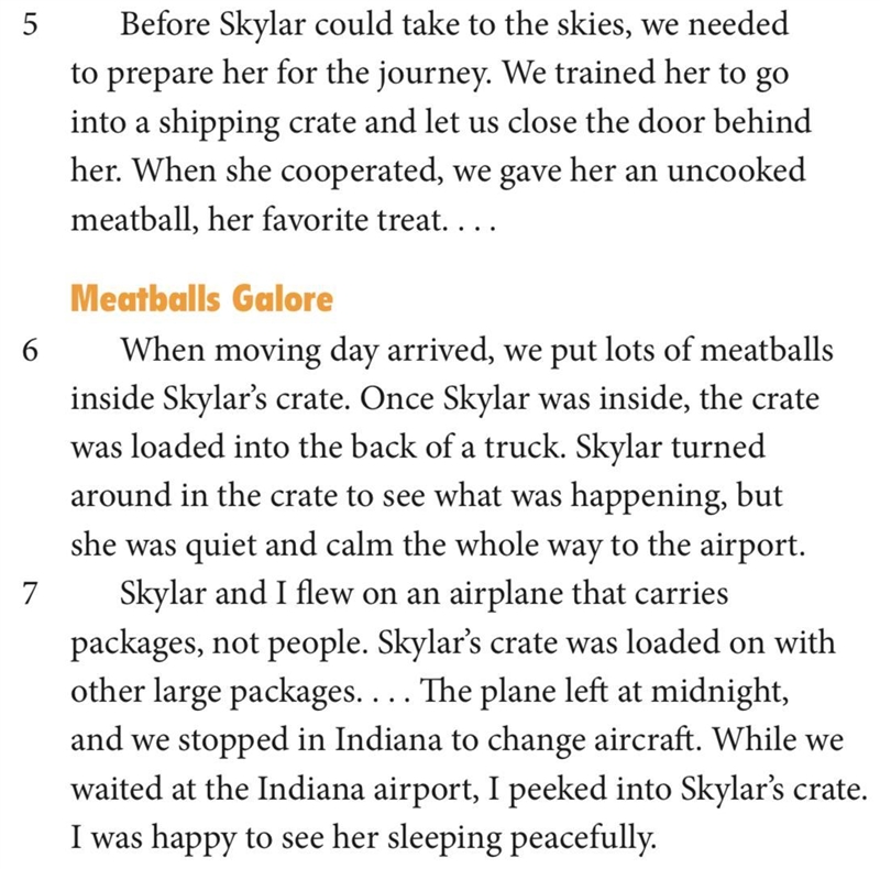 How do key details in paragraphs 5 through 7 help support the main idea of “Flying-example-1