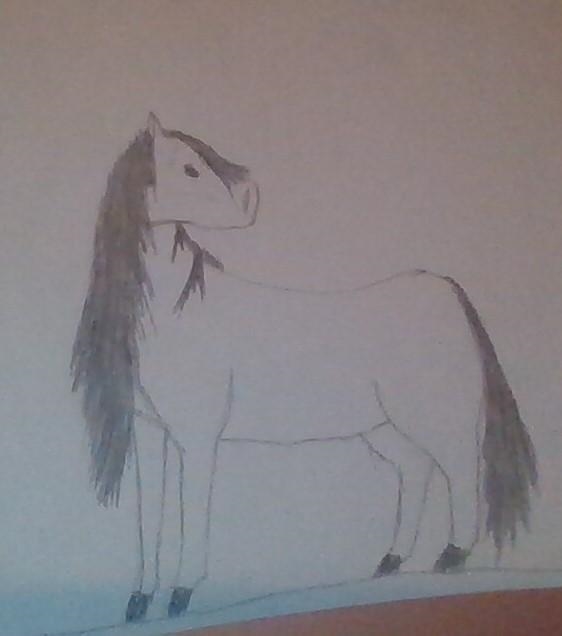 What do you think about my drawings? I've had dreams about this horse-example-1