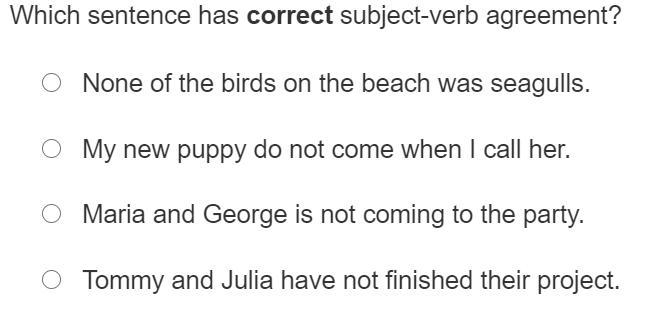 Which sentence has correct subject-verb agreement?-example-1