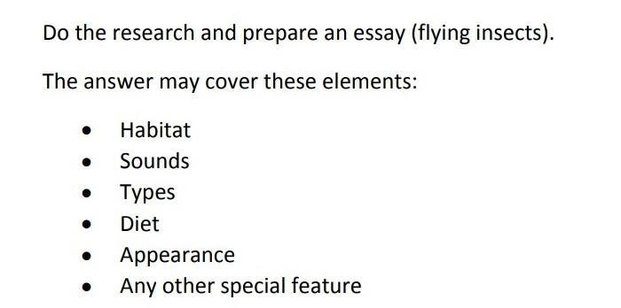 My question : Prepare an essay on the topic " Flying insects " . ​-example-1