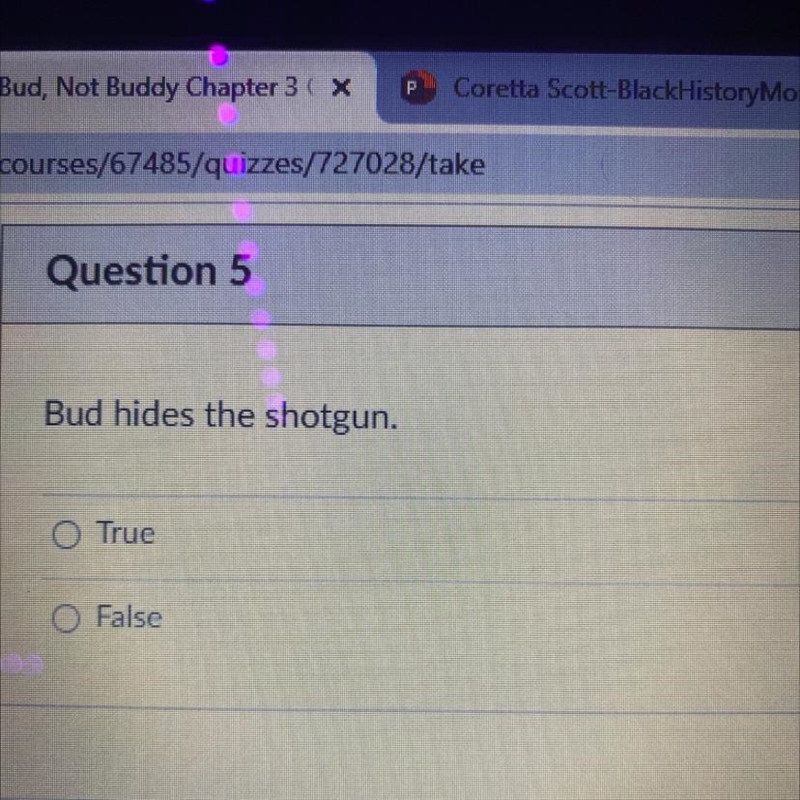 HELPPP! Did Bud hide the shotgun?-example-1