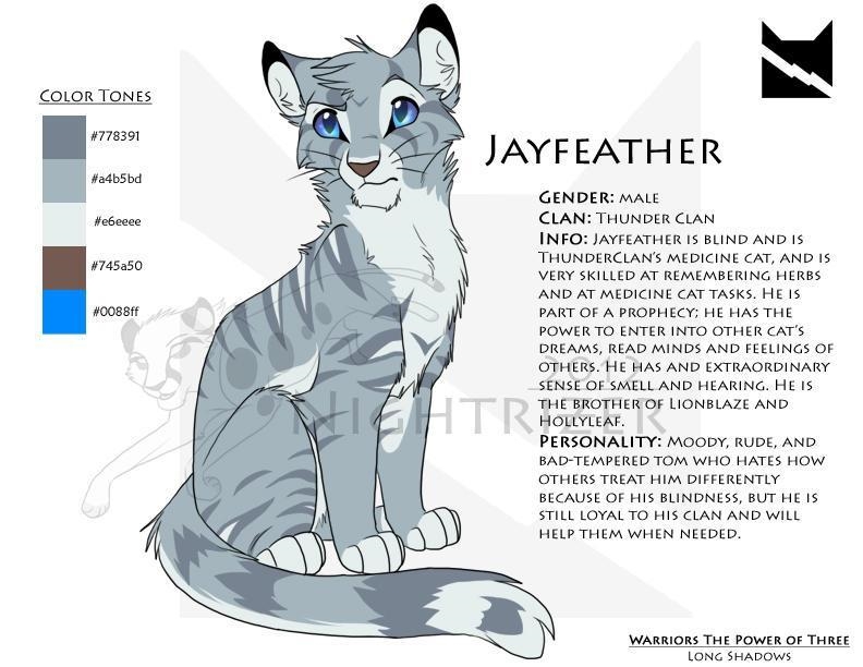 Who is jayfeather from warriors book series!-example-1