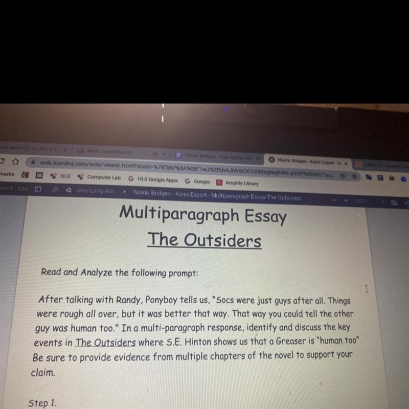 Can someone please write my outsiders essay please????-example-1