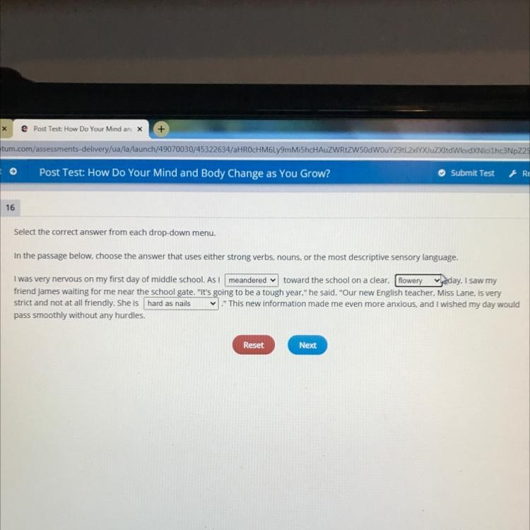 In the passage below, choose the answer that uses either strong verbs, nouns, or the-example-1