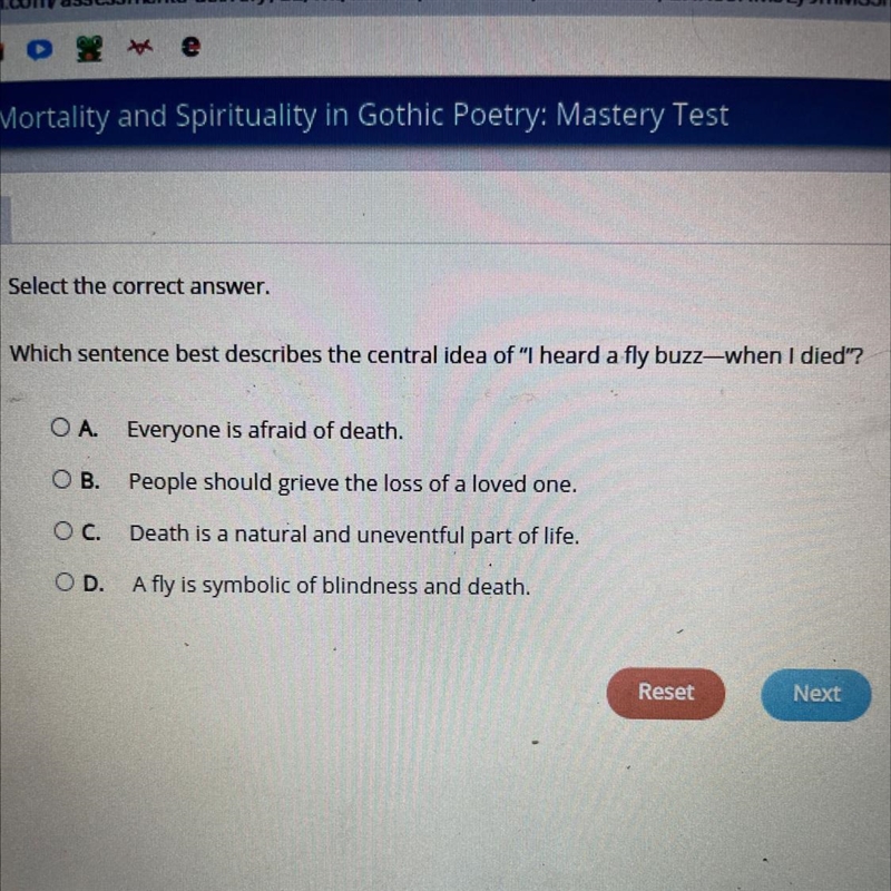 Which sentence best describes the central idea of "I heard a fly buzz—when I-example-1