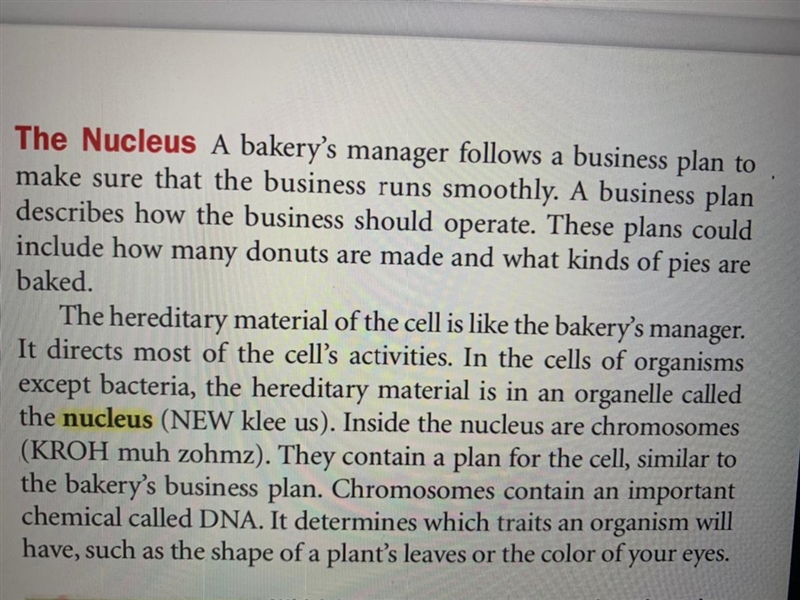 Read this and the question is why is nucleus important ? {get information from this-example-1