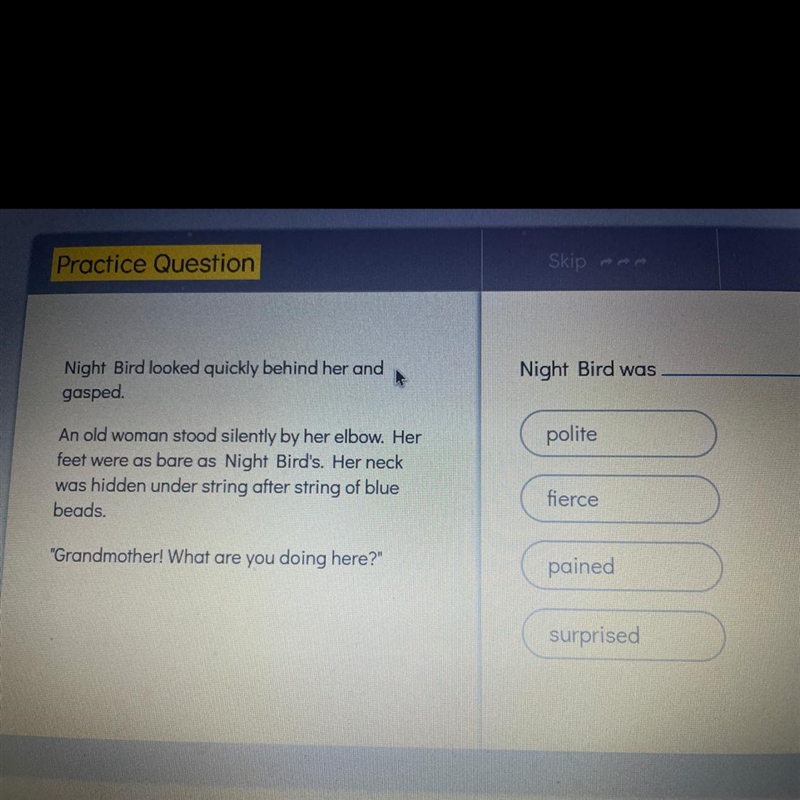 Practice Question Night Bird looked quickly behind her and gasped An old woman stood-example-1