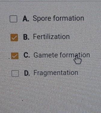 HELLPPPPPPP ASAP Which two take place during human sexual reproduction ​-example-1